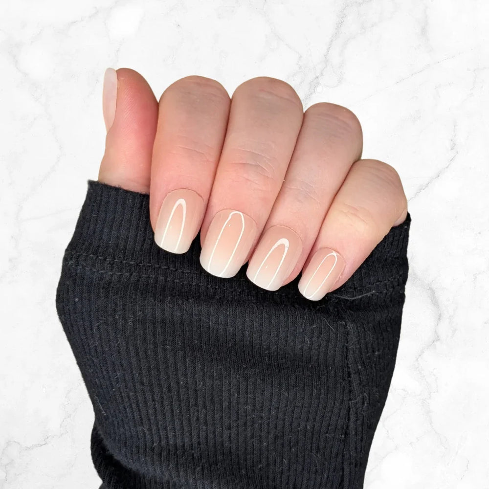 BNB BY CAMI Everyday Collection